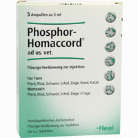 Phosphor Homaccord Ad. Us. Vet. Ampullen 5 Stück
