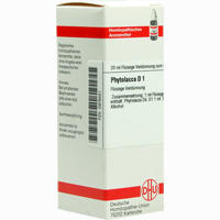 Phytolacca D1 Dilution Dhu-arzneimittel 20 ml