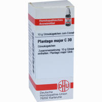 Plantago Major C30 Globuli 10 g