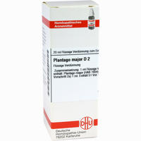 Plantago Major D2 Dilution 20 ml
