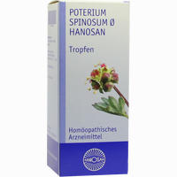 Poterium Spinosum Urtinktur D 1 Dilution 100 ml