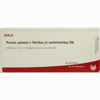 Prunus Spi E Flo Et Su D6 Ampullen 10 x 1 ml