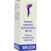 Prunus Spinos Summit Rh D3 Dilution 20 ml