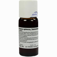 Prunus Spinos Summit Urtinktur Dilution 50 ml