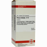 Ptelea Trifoliata D12 Tabletten 200 Stück