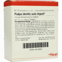 Pulpa Dentis Suis- Injeel Ampullen 10 Stück