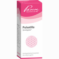 Pulsatilla Similiaplex Tropfen 50 ml