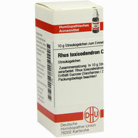 Rhus Toxicodendron C12 Globuli 10 g