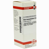 Rhus Toxicodendron C30 Dilution 20 ml