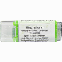 Rhus Toxicodendron C30 Globuli 2 g