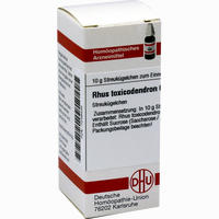 Rhus Toxicodendron C5 Globuli 10 g