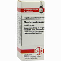 Rhus Toxicodendron C6 Globuli 10 g