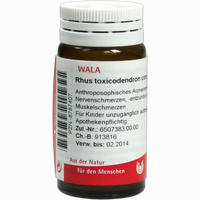 Rhus Toxicodendron Comp Globuli 20 g