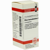 Rhus Toxicodendron D10 Globuli 10 g
