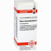 Rhus Toxicodendron D3 Globuli 10 g