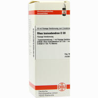 Rhus Toxicodendron D30 Dilution 50 ml
