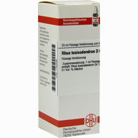 Rhus Toxicodendron D6 Dilution 20 ml