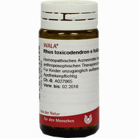 Rhus Toxicodendron E Foliis D12 Globuli 20 g