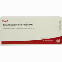 Rhus Toxicodendron E Foliis D30 Ampullen 10 x 1 ml