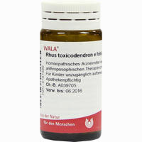 Rhus Toxicodendron E Foliis D30 Globuli 20 g