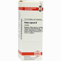 Ribes Nigrum Urtinktur Dilution 20 ml