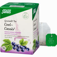Salus Cool Cassis Schwarze Johannisbeere Bio Filterbeutel 15 Stück