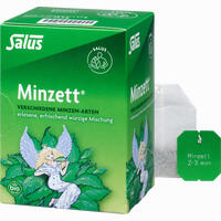 Salus Minzett Kräutertee Filterbeutel 15 Stück