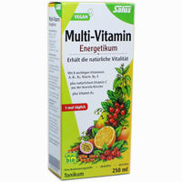 Salus Multi- Vitamin- Energetikum Tonikum 250 ml