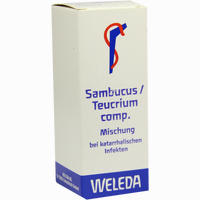 Sambucus /Teucrium Comp. Dilution 50 ml