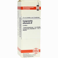 Sanguisorba Off. Urtinktur Dilution 20 ml