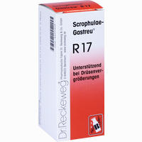 Scrophulae- Gastreu R17 Tropfen 50 ml