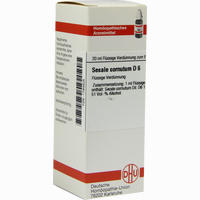 Secale Cornut D6 Dilution 20 ml