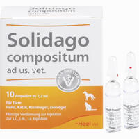 Solidago Compositum Ad Us. Vet. Ampullen 10 Stück