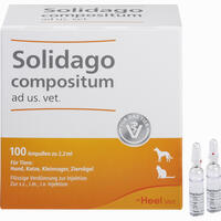 Solidago Compositum Ad Us. Vet. Ampullen 100 Stück
