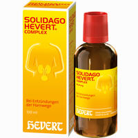 Solidago Hevert Complex Tropfen 100 ml