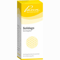 Solidago Similiaplex Tropfen 50 ml
