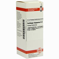 Solidago Virga D2 Dilution Dhu-arzneimittel 20 ml