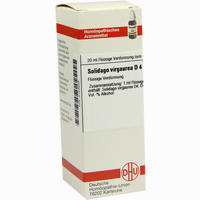 Solidago Virga D4 Dilution 20 ml