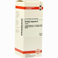 Solidago Virga Urtinktur Dilution 50 ml