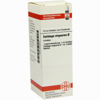 Solidago Virga Urtinktur Dilution 20 ml