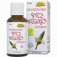 Spitzwegerich Compositum Alchemistische Essenz 30 ml