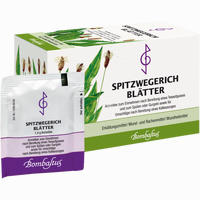 Spitzwegerichblätter Tee Filterbeutel 20 Stück