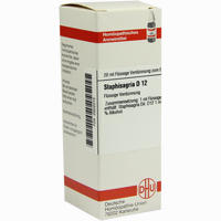 Staphisagria D12 Dilution 20 ml