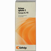 Synergon Kompl Actaea Spicata S Nr.95 Tropfen 50 ml