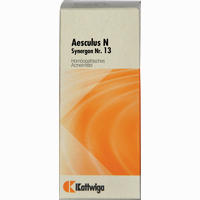 Synergon Kompl Aescul N 13 Tropfen 50 ml