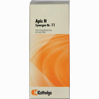 Synergon Kompl Apis N 11 Tropfen 50 ml