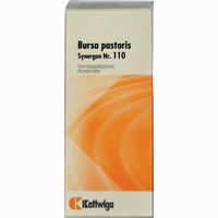 Synergon Kompl Burs Pa 110 Tropfen 50 ml