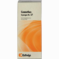 Synergon Kompl Ceanoth 57 Tropfen 50 ml