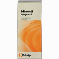 Synergon Kompl Echinacea N Nr. 4 Tropfen 50 ml