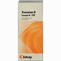 Synergon Kompl Kreosotum N Nr.160 Tropfen 50 ml